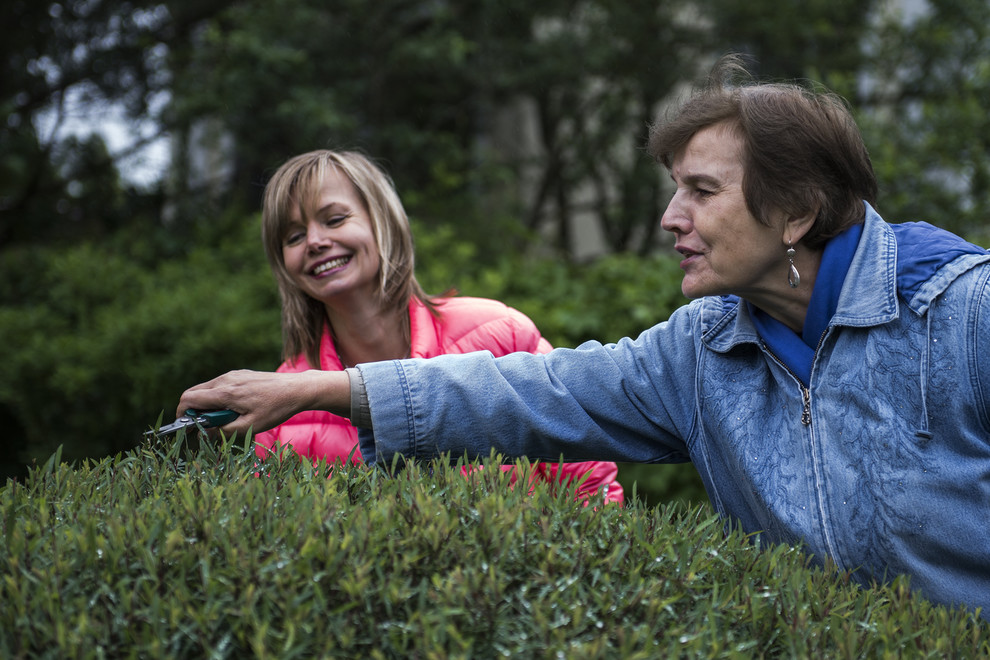 В гостях: Сад в идеальной форме... круга