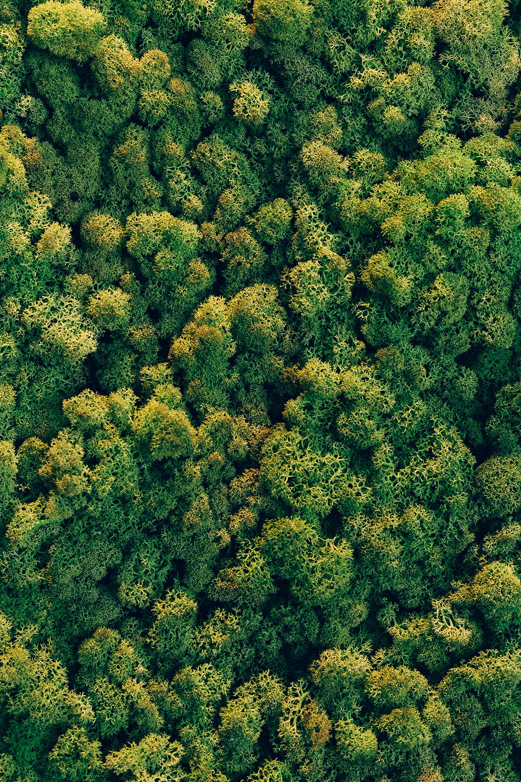 Реализация дизайн проекта бара Bourbon