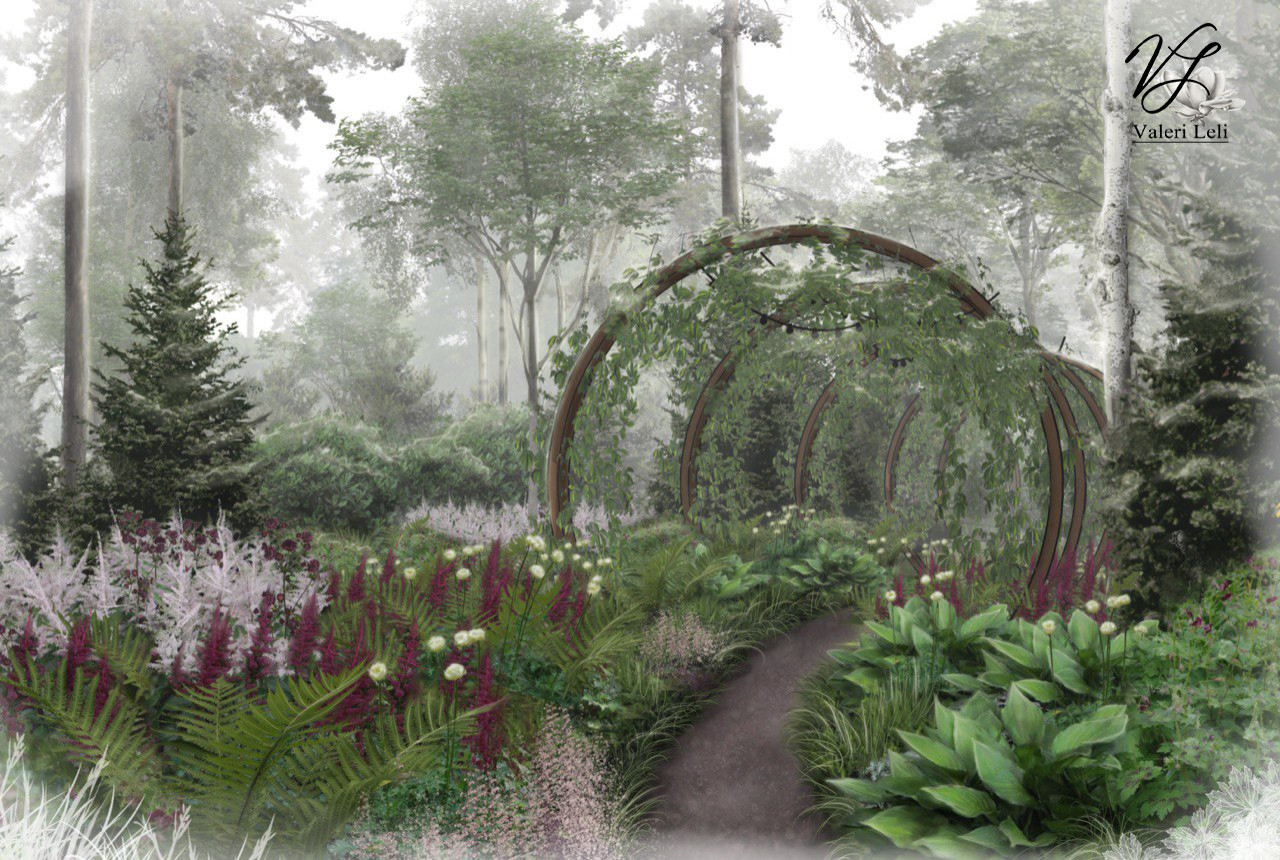 Лес под луной