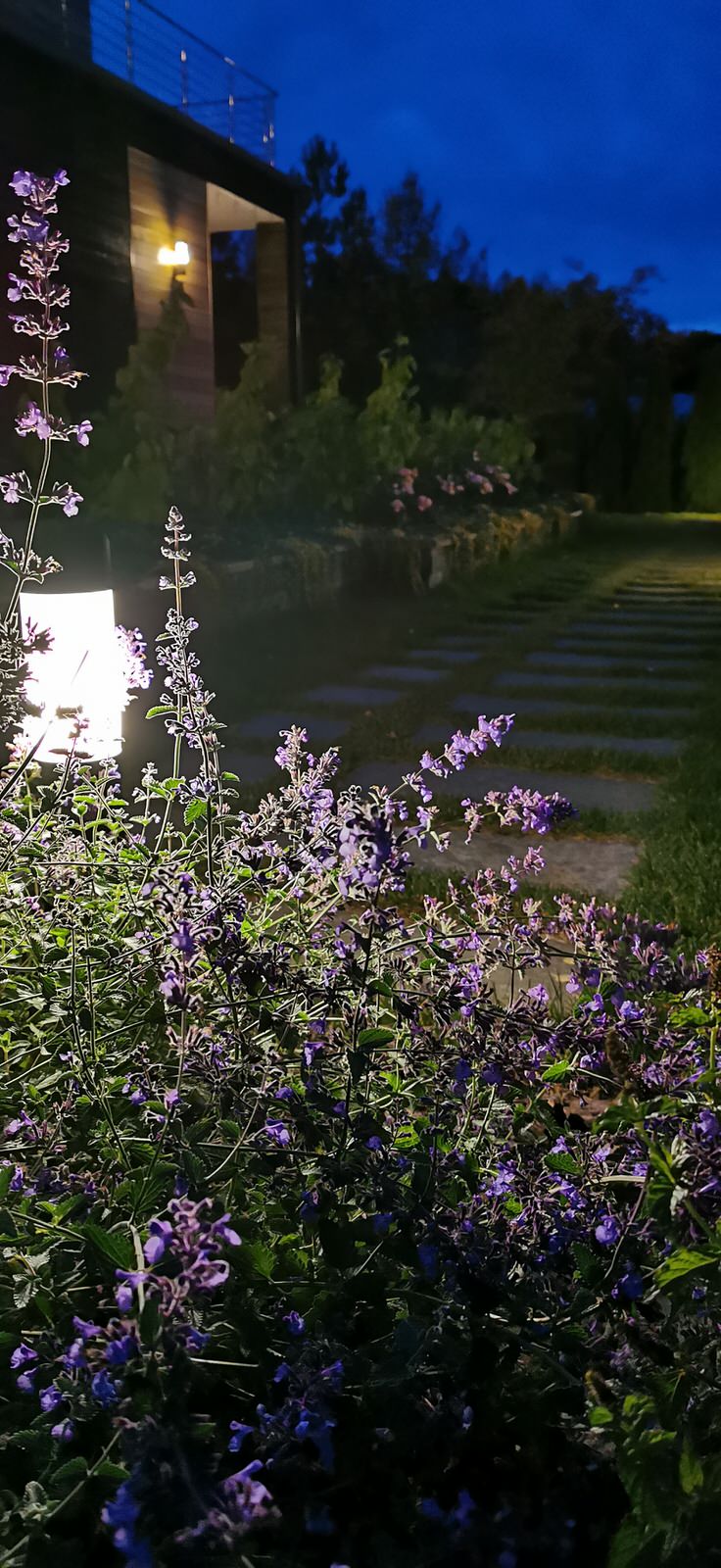 Благоустройство участка 20 соток в КП Пестово