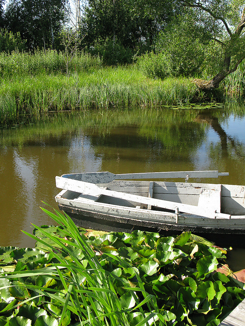 Houzz Белоруссия: Сад в тумане