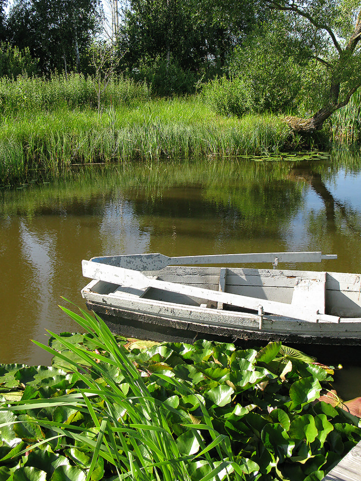 Houzz Белоруссия: Сад в тумане