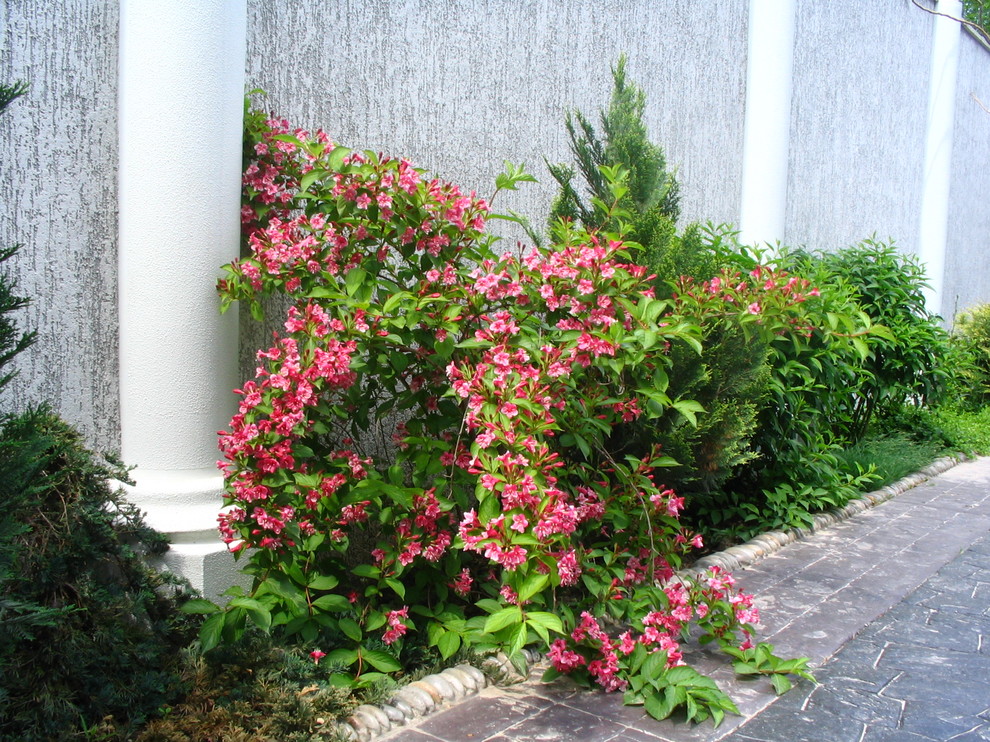 Обложка проекта: Decabristov