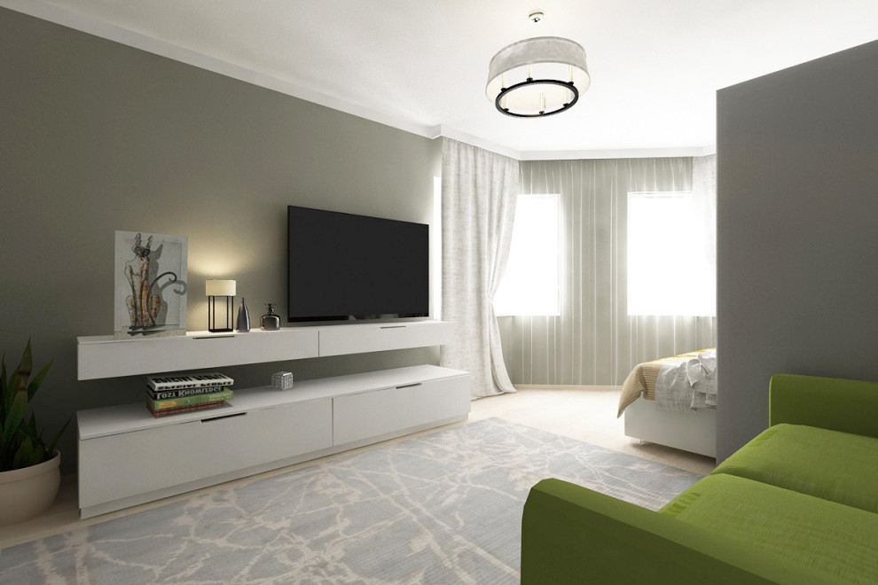 гостиная-спальня