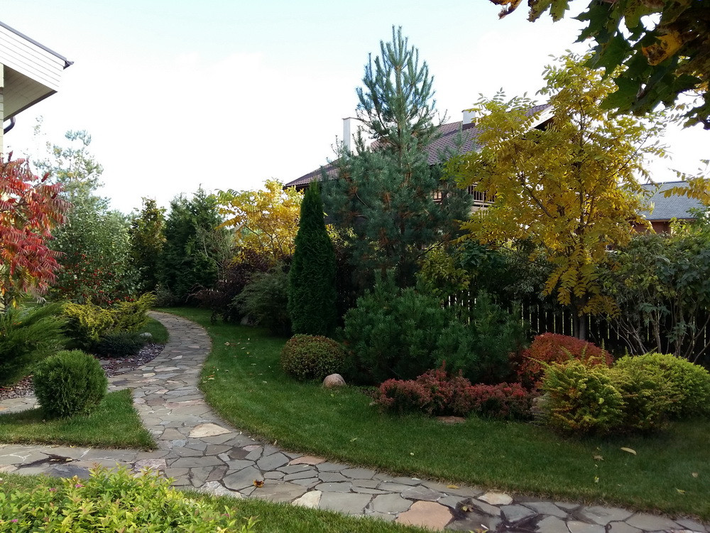 Витро Кантри