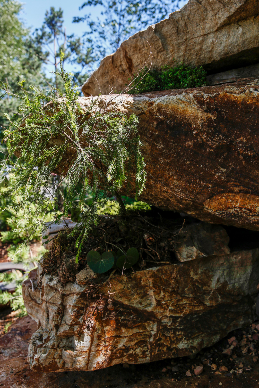 Сад Прометей - Сад, пробуждающий чувства -  The Garden that awakens feelings