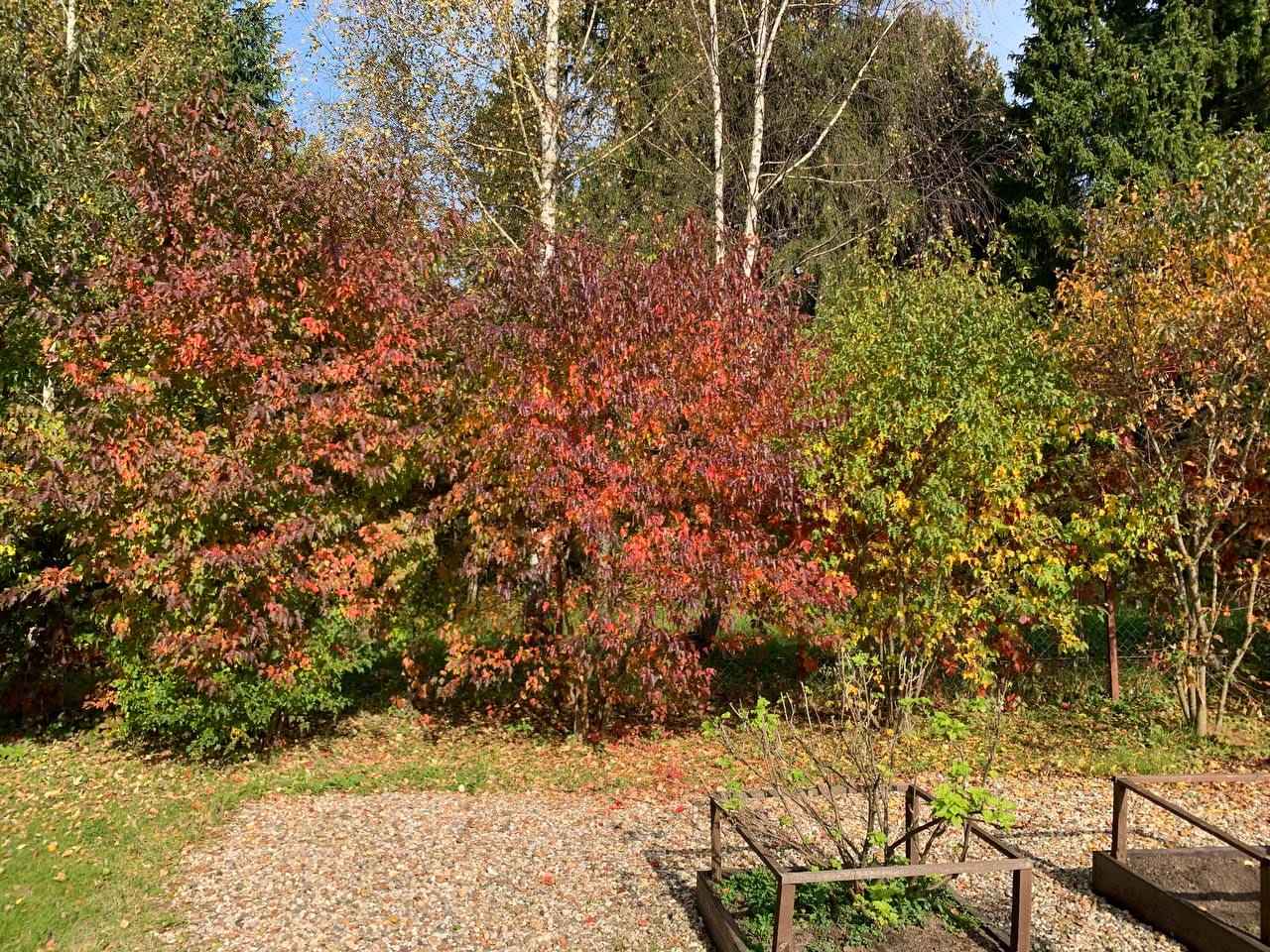 Обложка проекта: Руза