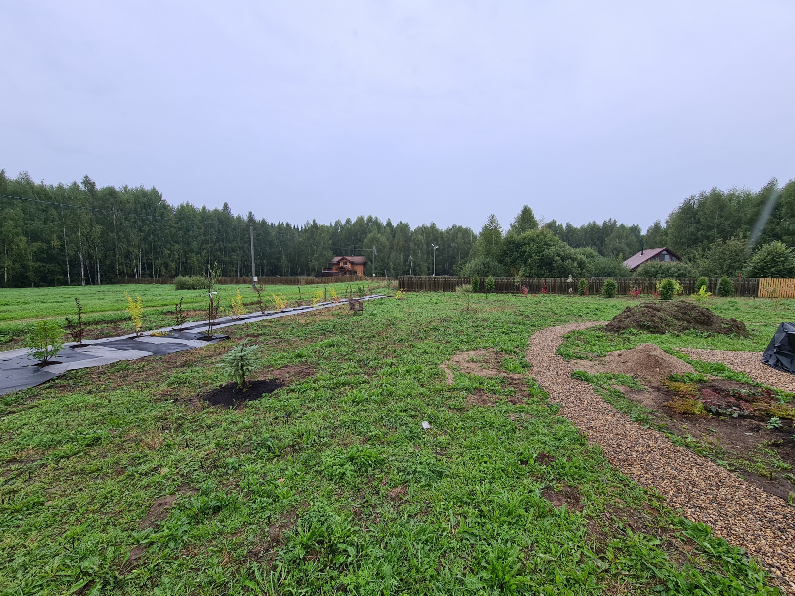 20210830_101339_Original.jpg