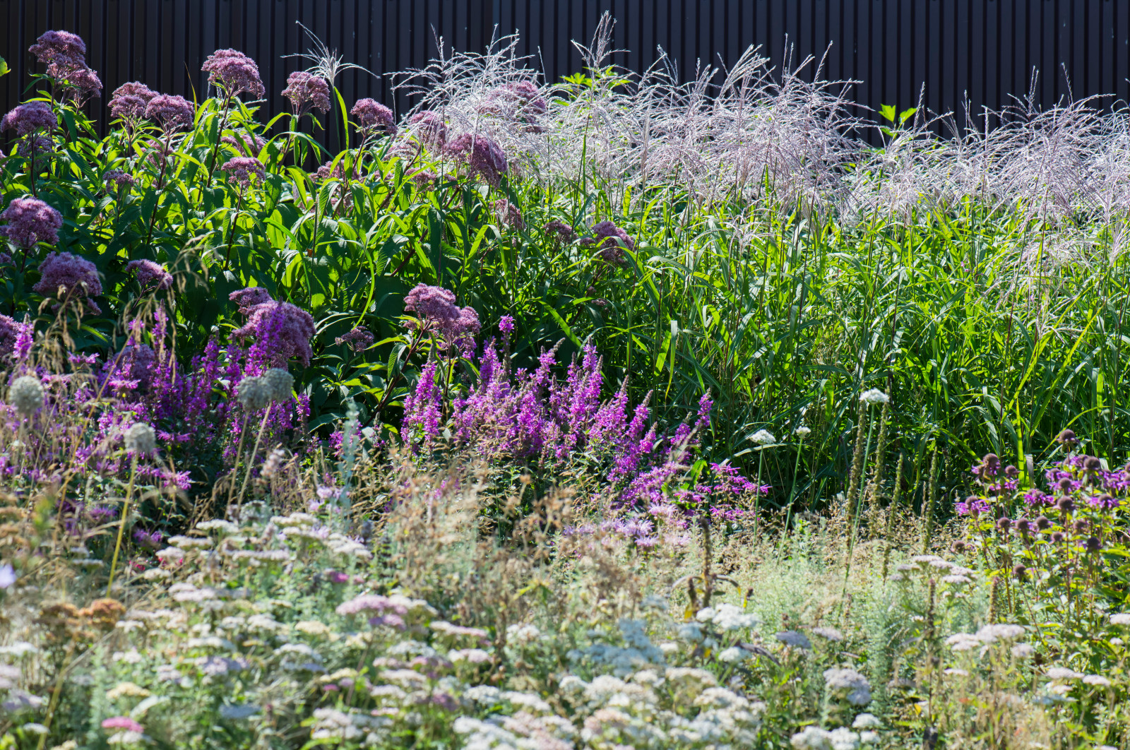 Большой сад в пригороде