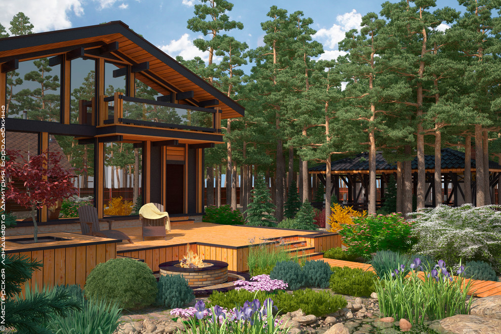 Утро в сосновом лесу