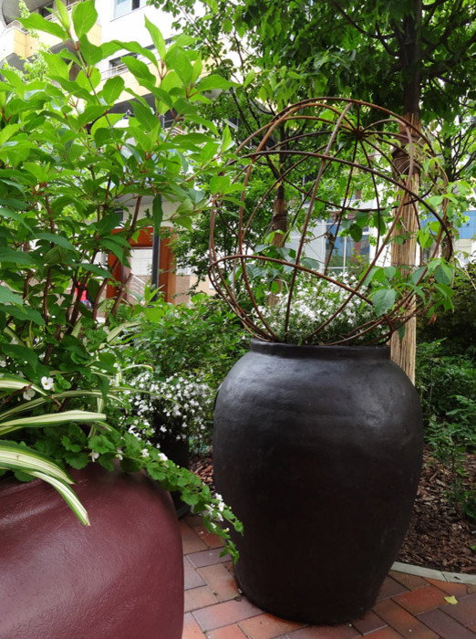 Парк ДК Новоспасский