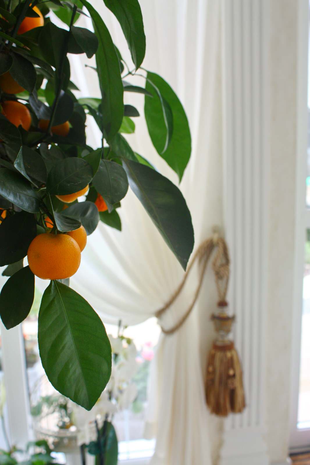 Дом на Щелковском шоссе: современное прочтение стиля рококо