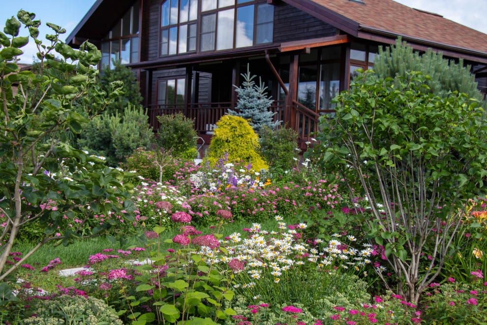 Сосновые берега