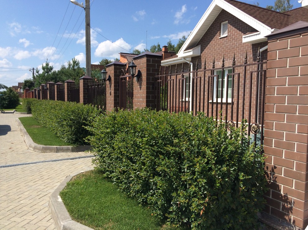 Вавиловец 1