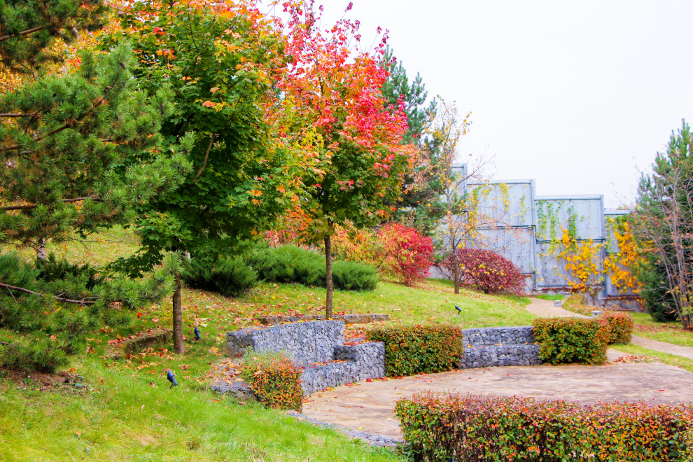 Лобаново, 2012-2021 гг.