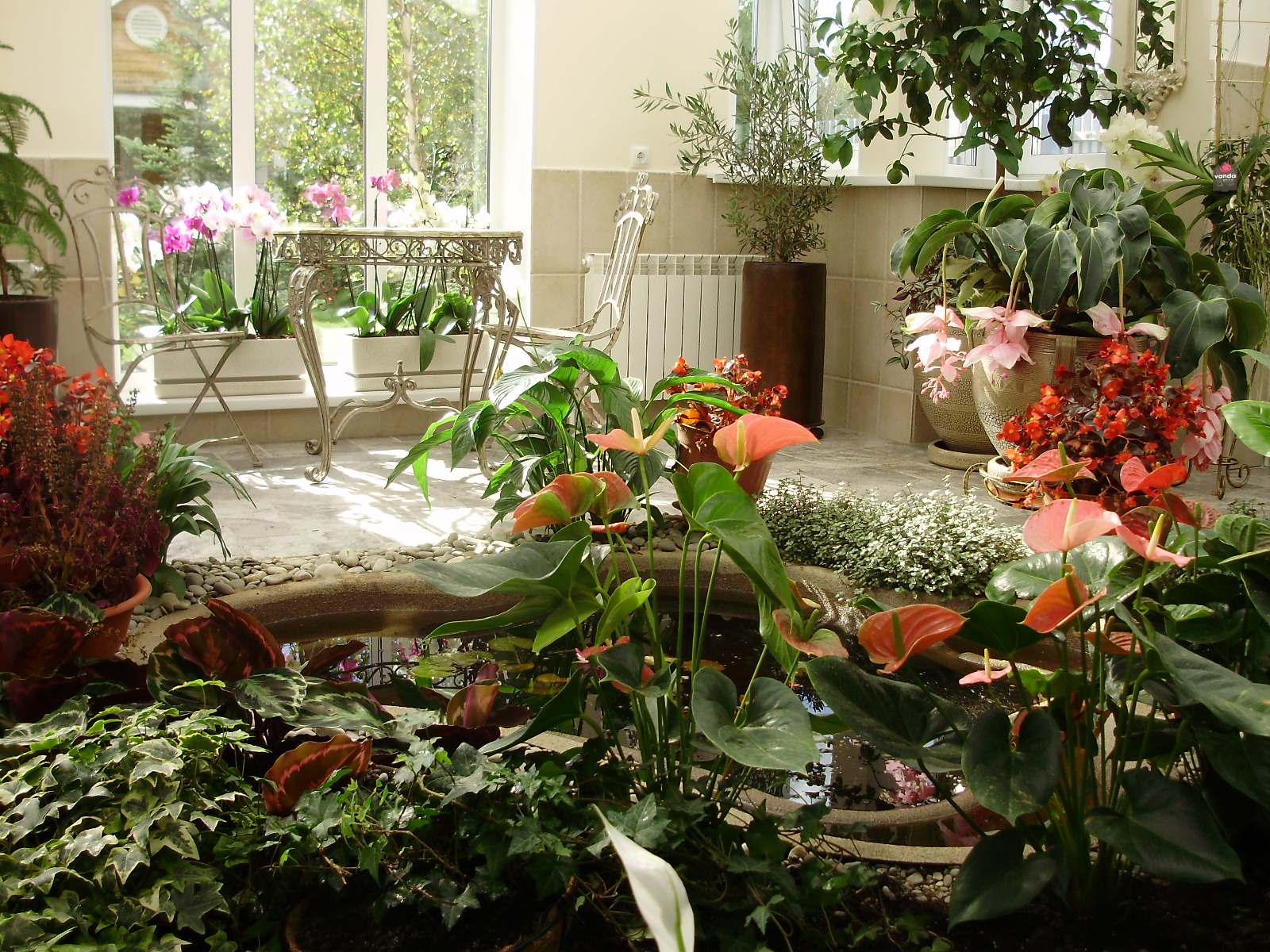 Обложка альбома: Зимний сад