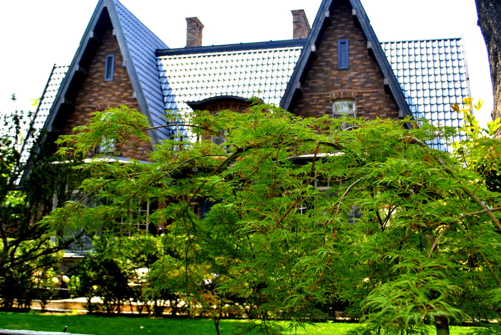 Обложка проекта: Сад с японскими интонациями.