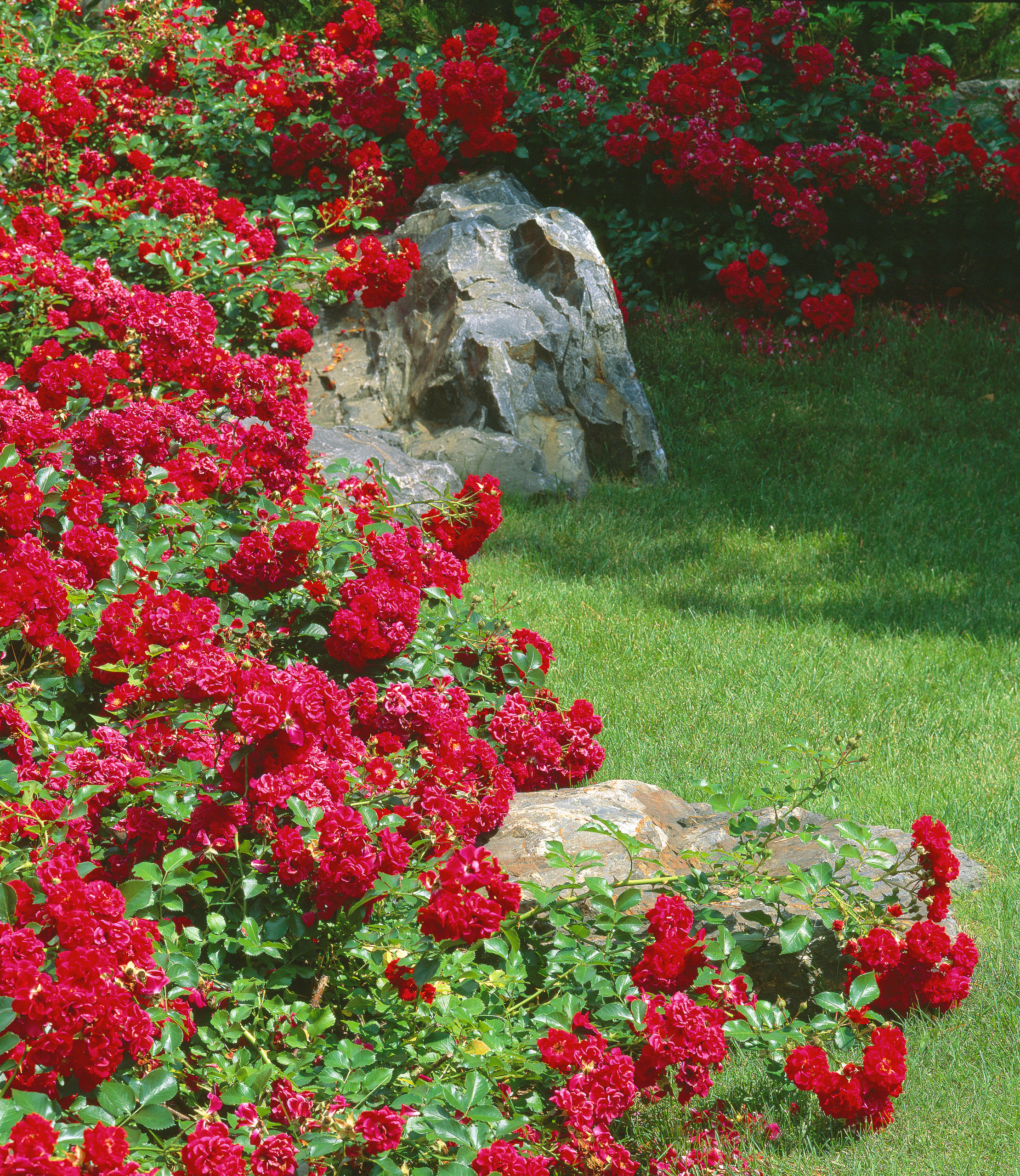 Календарь на октябрь: Работы в саду и на даче