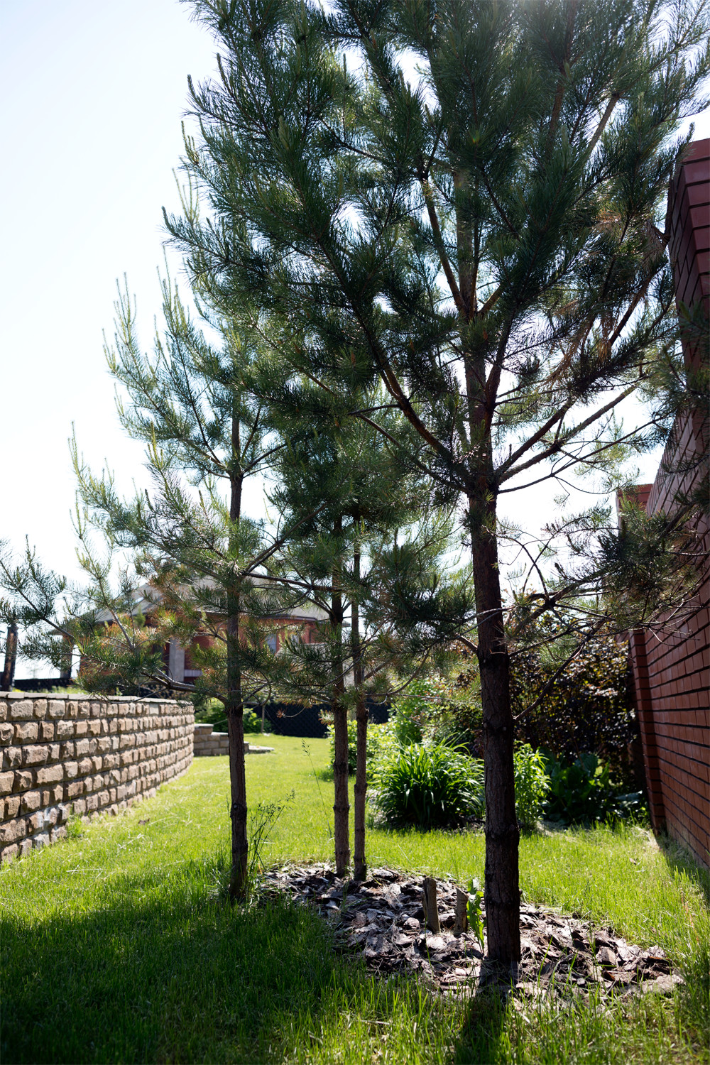 Ландшафтный дизайн участка "Зеленый камень"