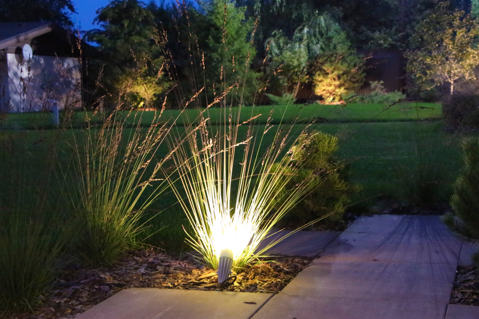 Петровское, ночной сад, 2018-2020 гг.