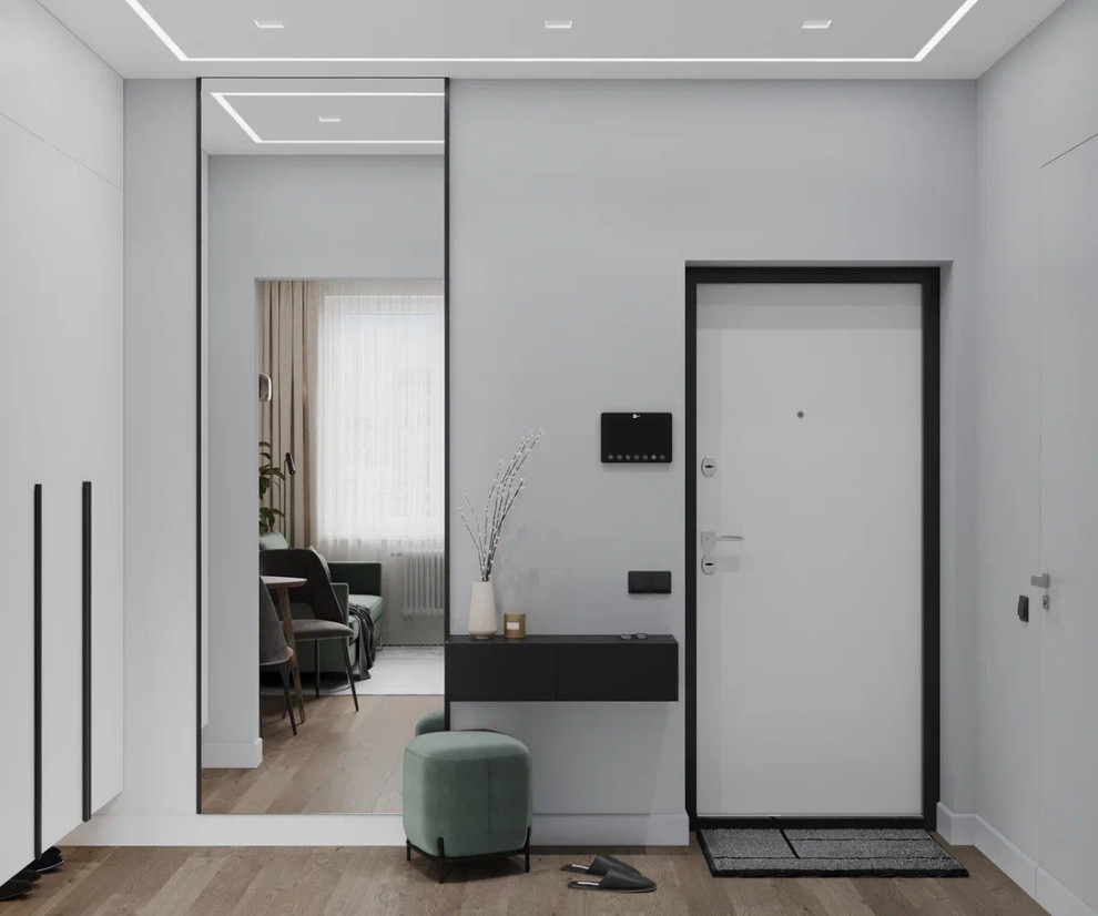 Однокомнатная квартира в современном минималистичном стиле