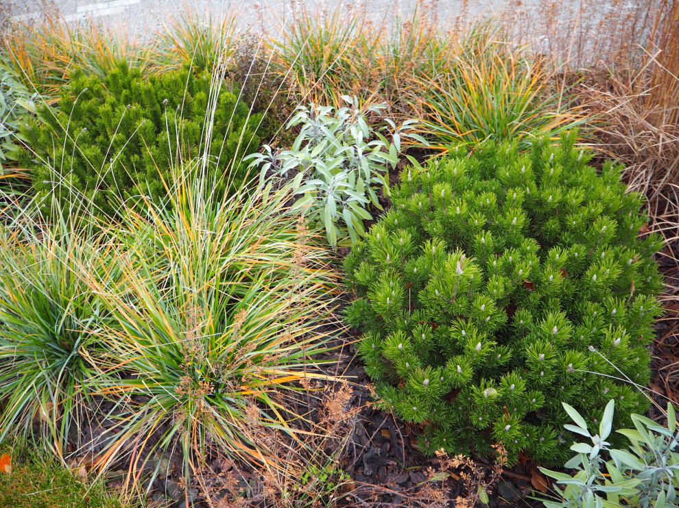 Сад с видом на Волгу