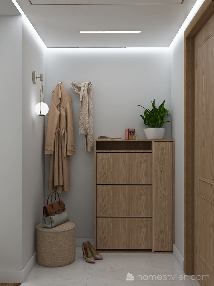 Прихожая в Проекте кухни-гостиной в большой двухкомнатной квартире