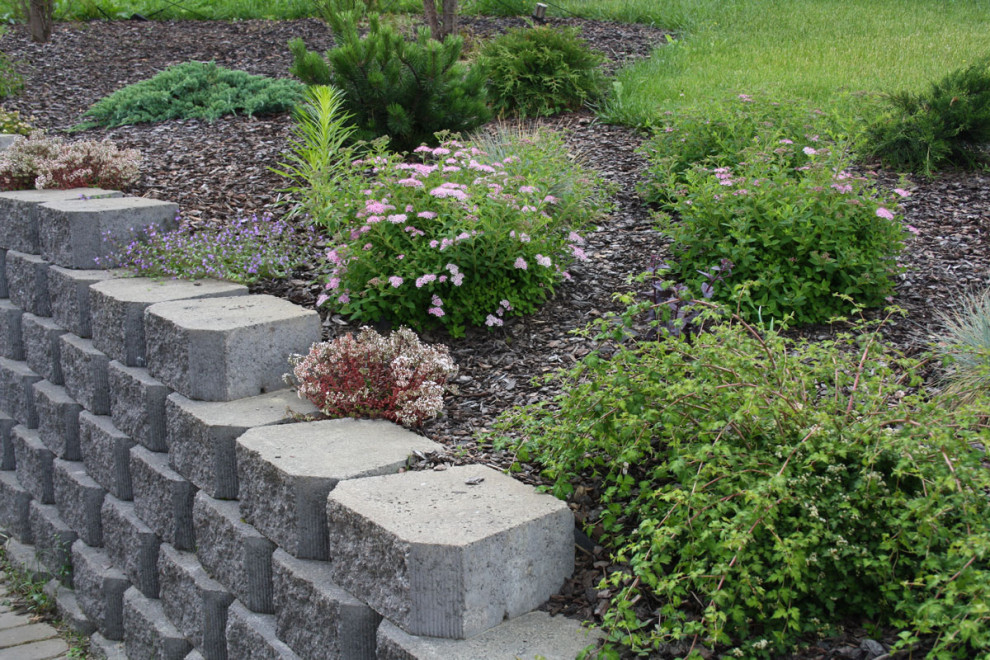 Новое Токсово 1