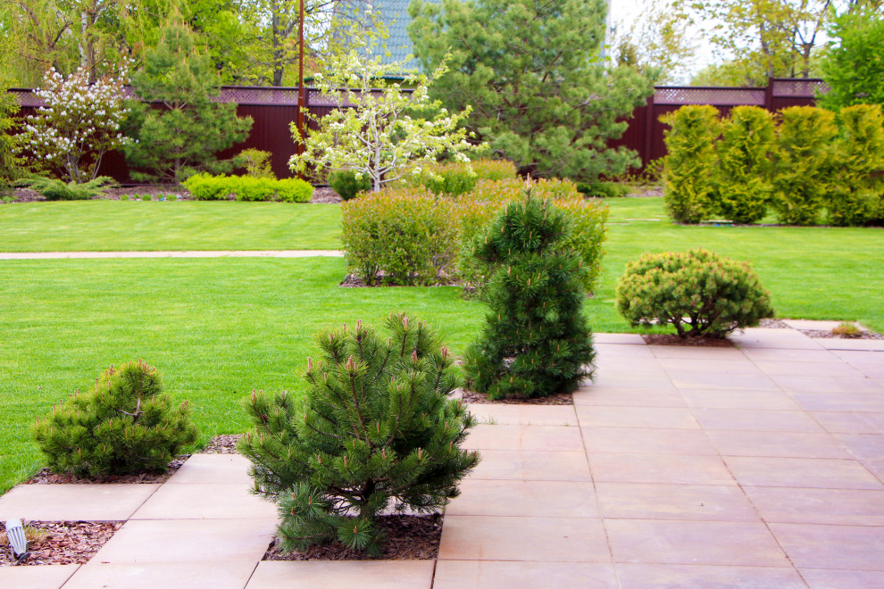 Петровское, 2018-2020 гг.