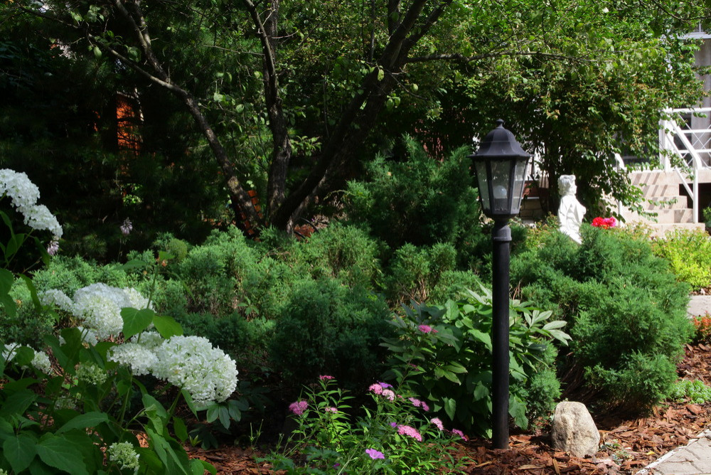 Ильинка. Реконструкция сада