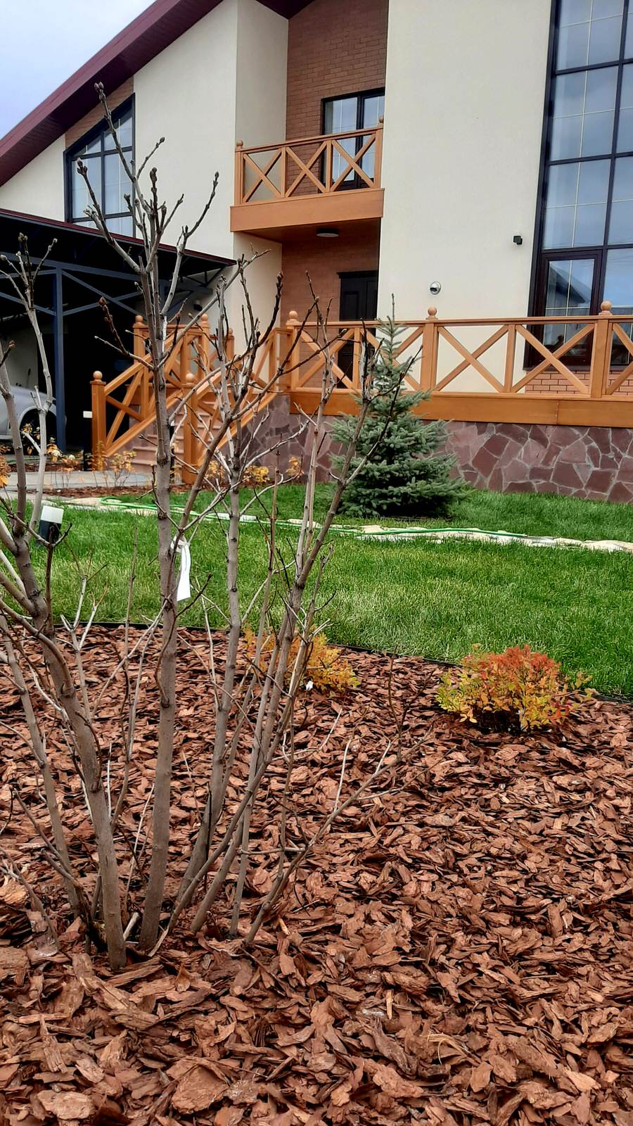 Кулаково, 2023