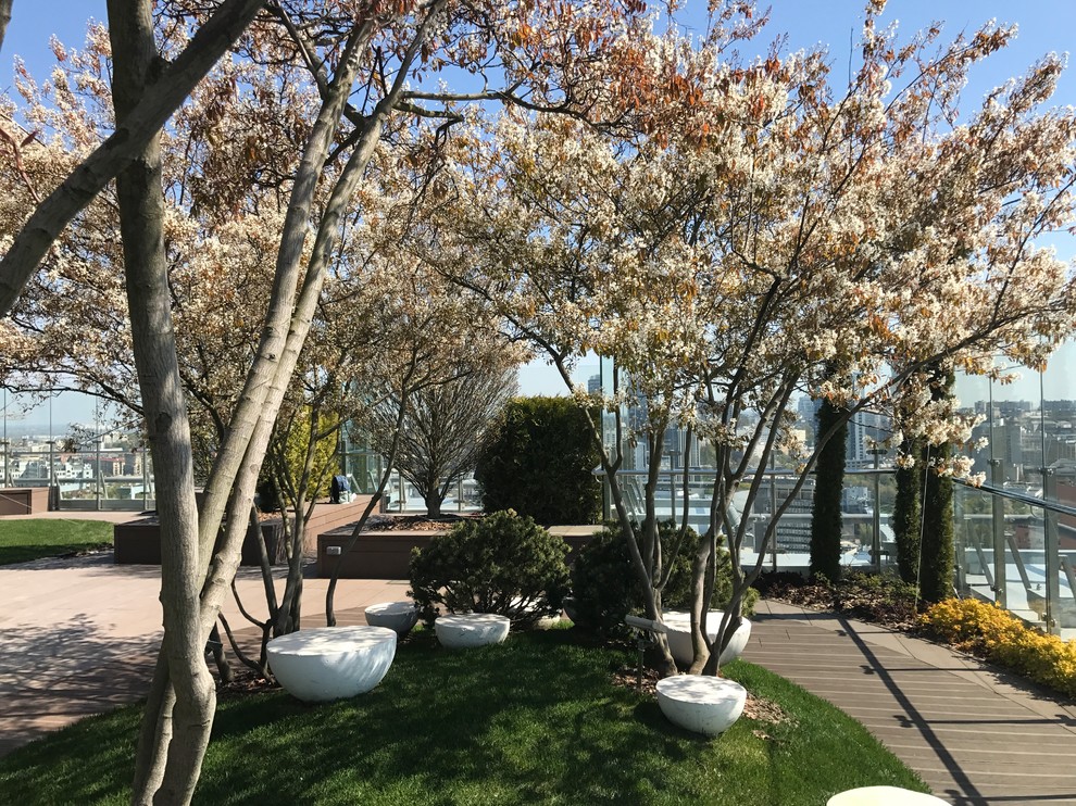 Парк на крыше жилого высотного здания.