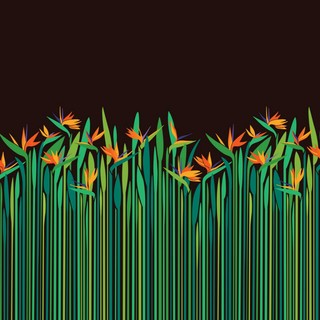 Ольга Петрова