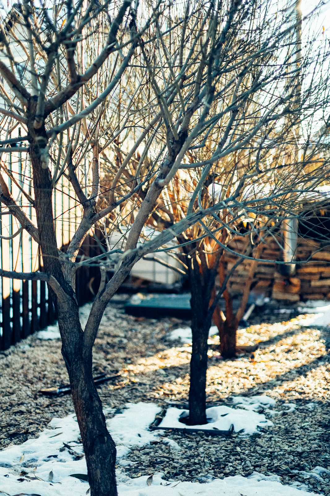 Фоновое изображение профиля PROUT