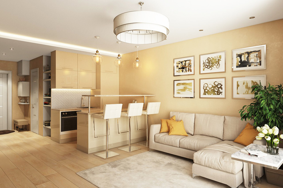 Обложка проекта: Квартира-студия для молодой девушки