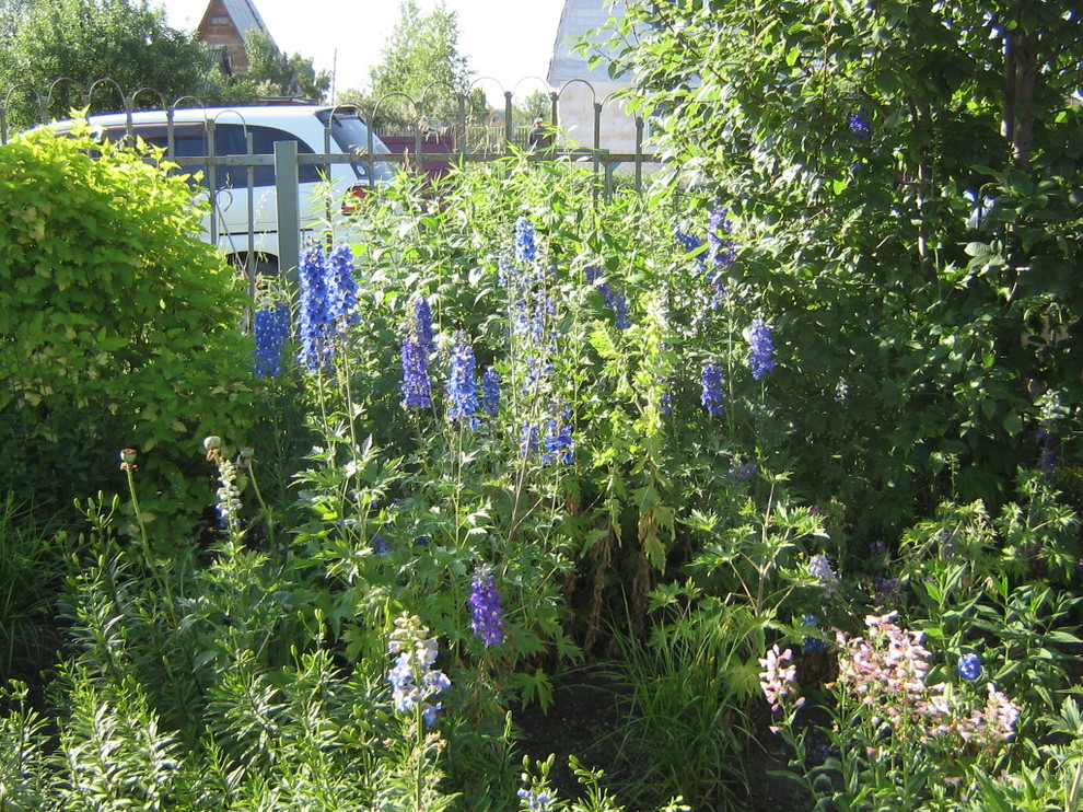 подготовка к сезону . Уход всесезонный