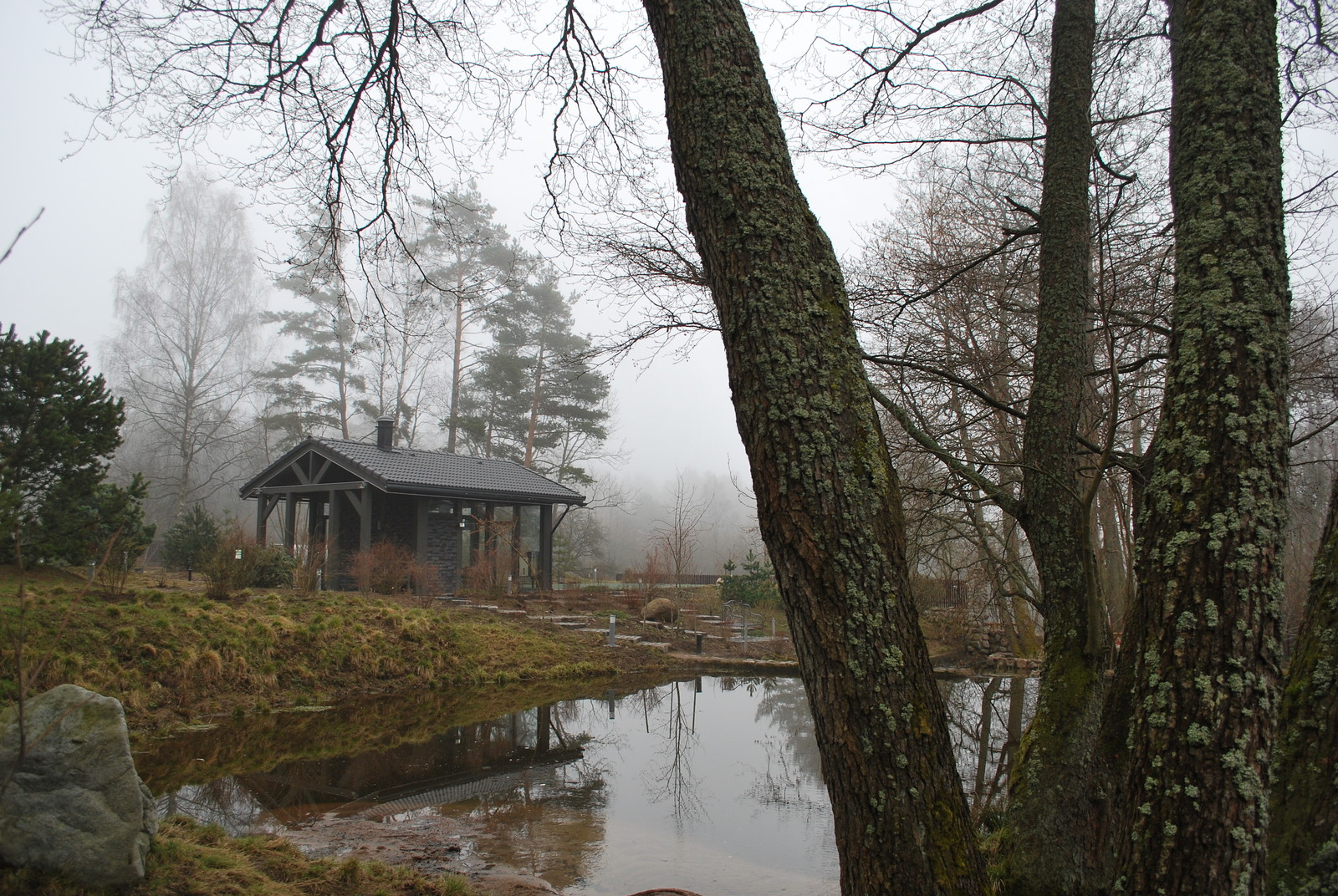 Сад натуралистического стиля
