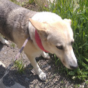 Евгения Данилова