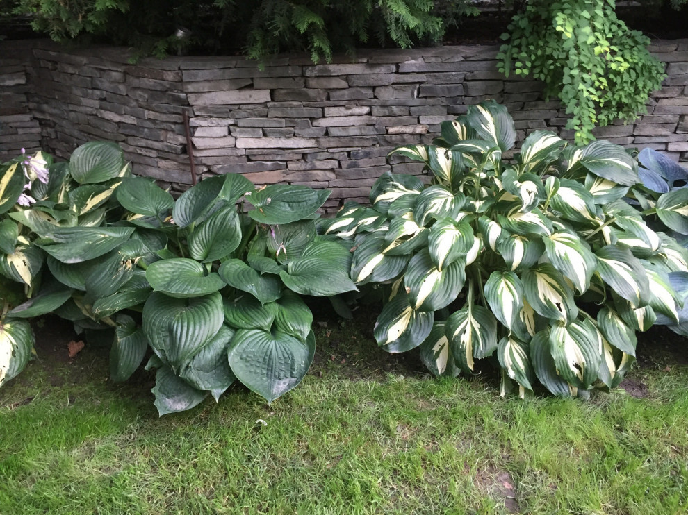 Обложка проекта: «Семейное гнездо»