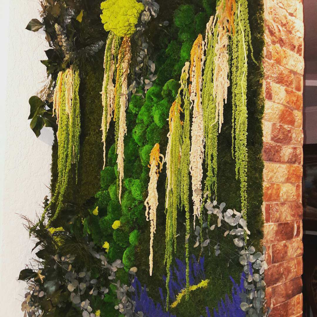 Фоновое изображение профиля Мария Беланчук