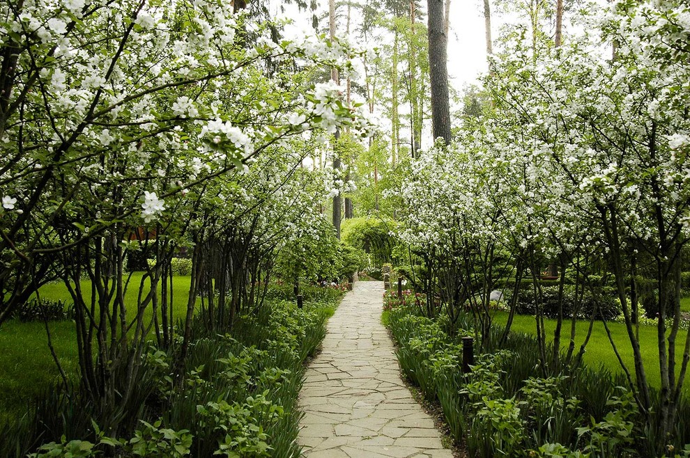 Сады Майендорф