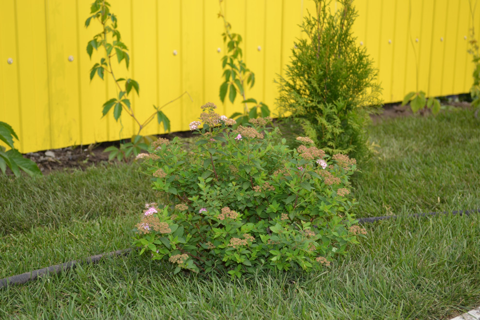 Минималистичный сад при таунхаусе