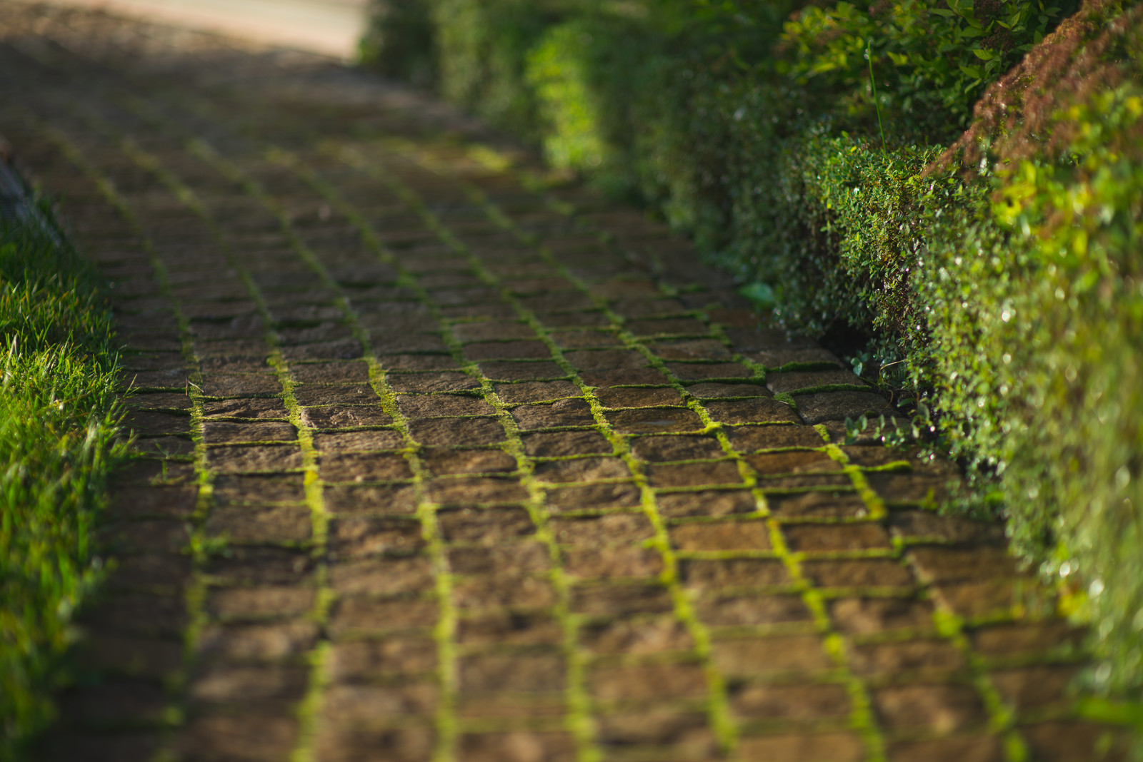 Обложка альбома: Beautiful Landscapes