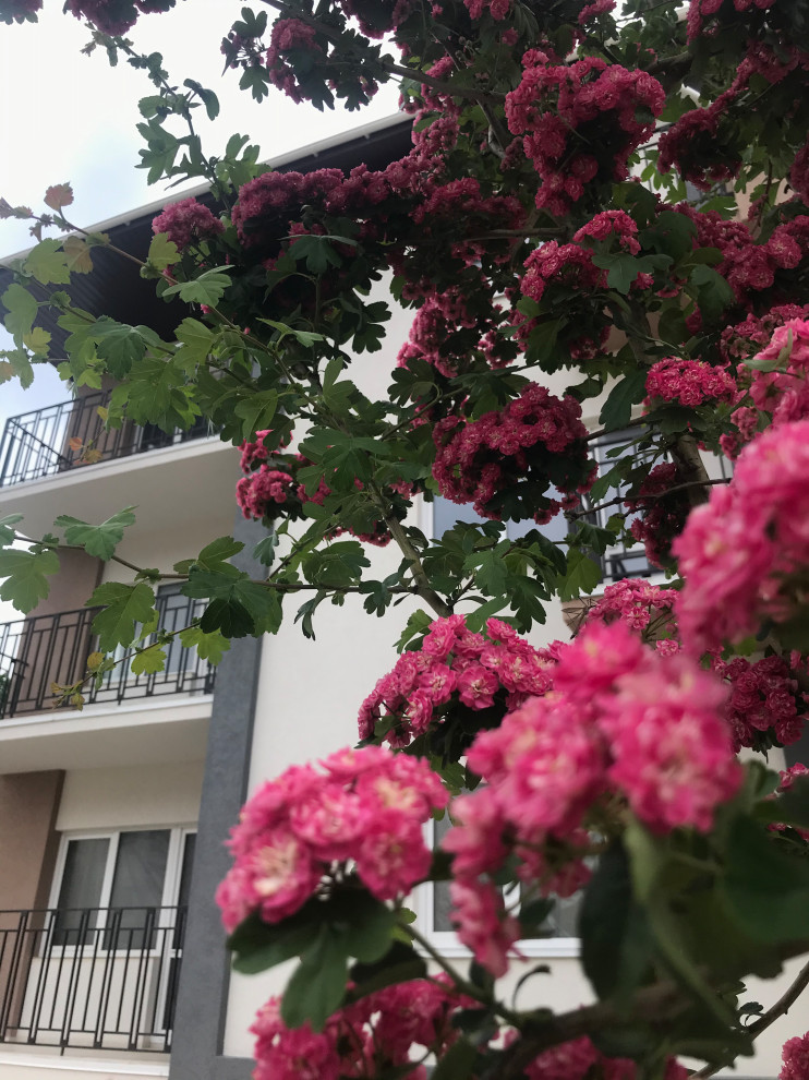 Обложка проекта: Мини-гостиница!!!!