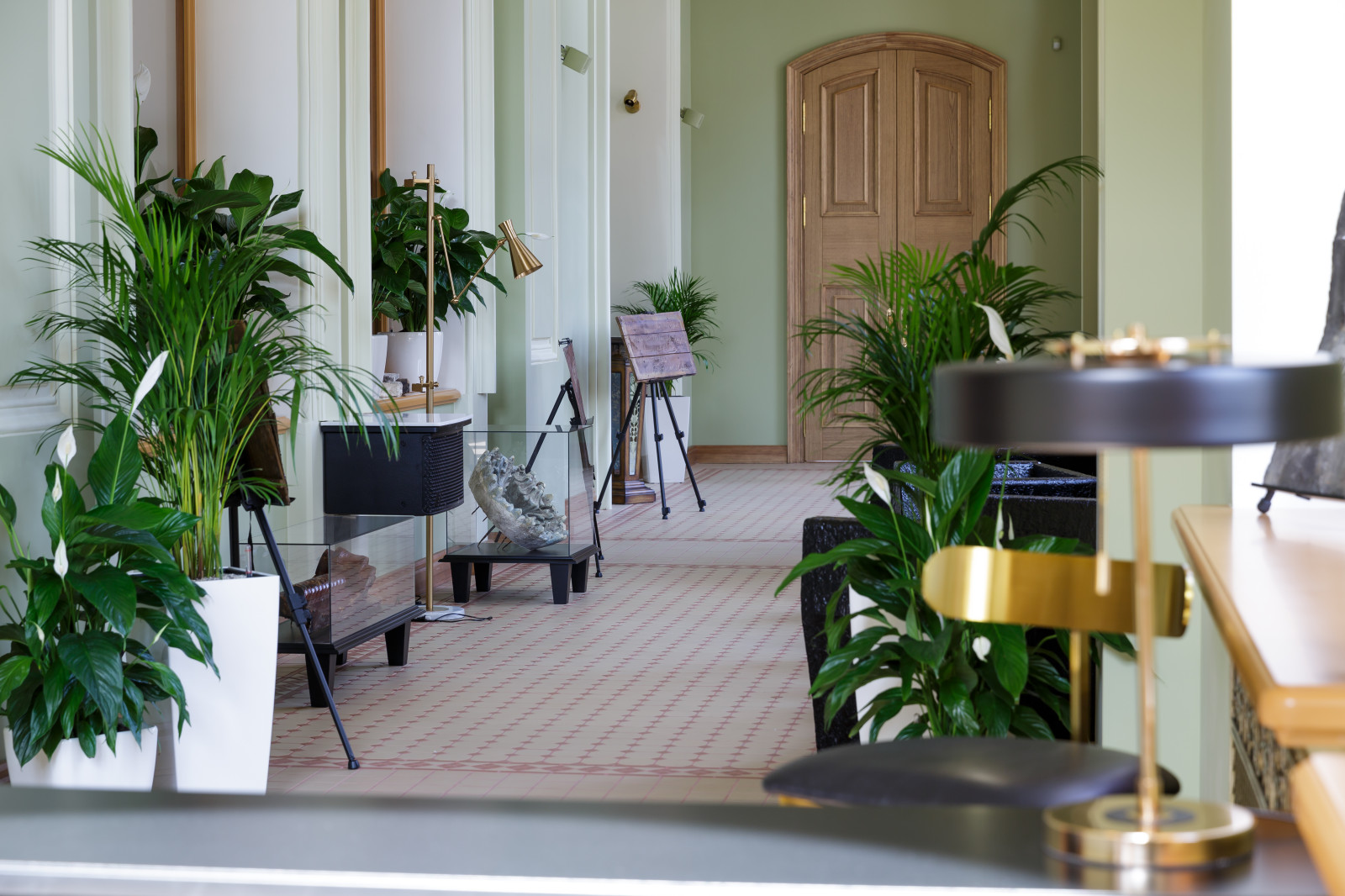 Обложка проекта: Кухмистерская фон Вакано