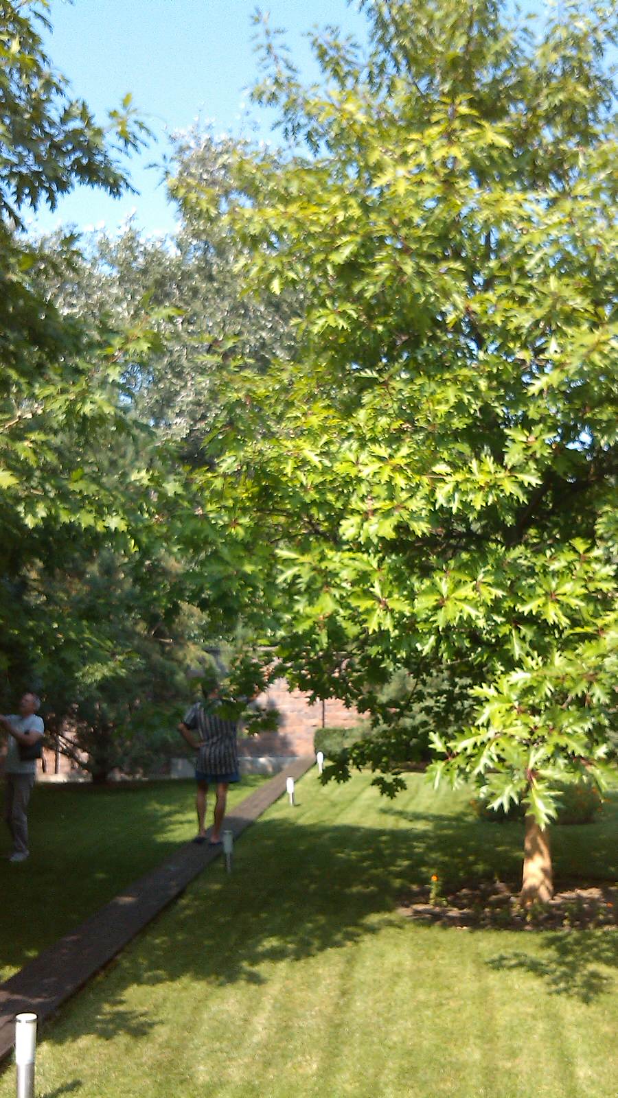 Обложка проекта: Строгость мужского ландшафта