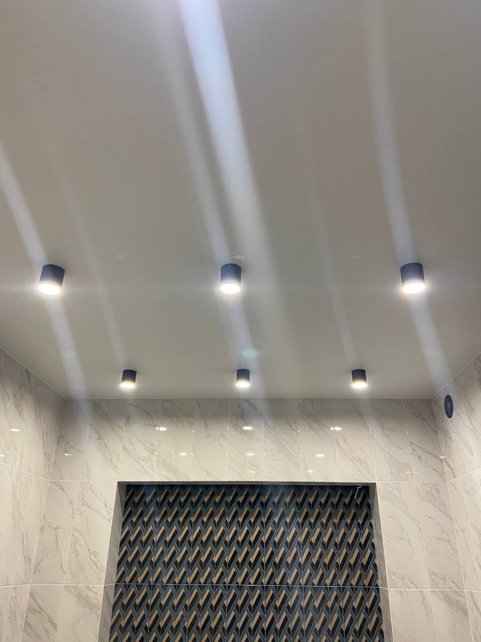 Частный дом 500 кв м