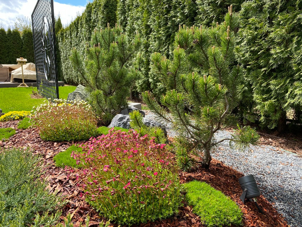 Элемент времени