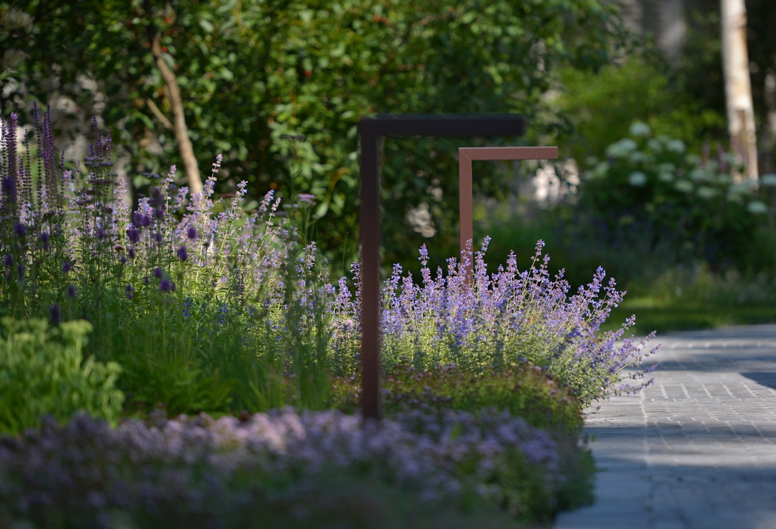 Лесная Рапсодия