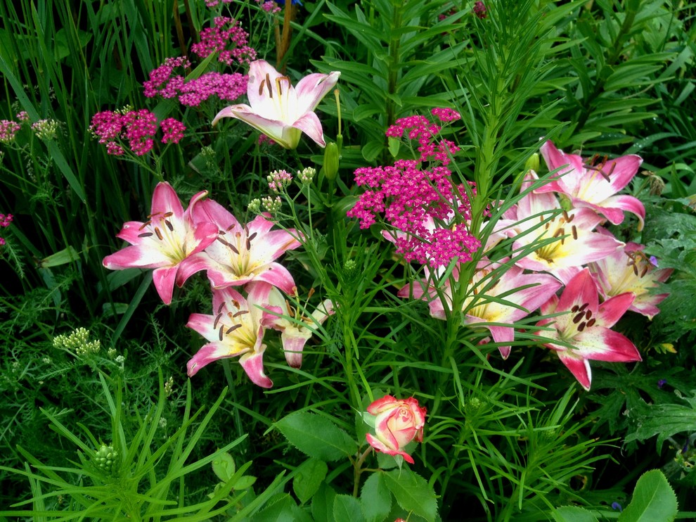 Романтический сад